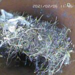 Kanalreinigung Nesselnbach  Wir von Express Kanalreinigung beheben jeden Notfall, 7 X 24 Stunden, schnell und zuverlässig. (( Sofort Rohrhilfe ))  Rufen Sie uns im Notfall an, aber auch, wenn Sie Ihre Hauskanalisation reinigen wollen oder ein Schacht entleert werden muss. Wir stehen für gute Qualität, faire Kosten, seriöse Arbeitsweise. Wie erledigen im Umkreis des Grossraums Zürich Zug Aargau und darüber hinaus alle Arbeiten, die mit Kanal- und Rohrreinigung zu tun haben, auch Saug-arbeiten, Kanalsondierungen mit Kamera, Reparaturen, Fräs- und Bohr-arbeiten, Ablauf-Säuberungen und vieles mehr.  Rohrreinigung  7/24h Notfall Kanalservice Nesselnbach  Wünschen Sie eine freundliche und professionelle Beratung, klicken Sie auf Kontakt und schreiben uns!  Wir von Express Kanalreinigung nehmen uns Zeit für Sie.  Alle Verstopfungen  Sofort Rohrhilfe Nesselnbach Küche	Bad	Dusche	Lavabo	Waschküche Dachwasser 	Bodenablauf 	Terrassenablauf 	Balkonablauf	Garagenablauf Falstran-Küche	Falstran-WC-Bad	Grundleitun	Hauskanalisation	Waschküche Abfluss küche verstopft	Bodenablauf 	Terrassenablauf 	Balkonablauf	Garagenablauf Notfall Kanalreinigung - 7 x 24h  Tel: 076 443 76 54  Wir sind Ihr zuverlässiger Ansprechpartner für alle Fragen rund um Rohrreinigung, Kanalreinigung und Abfluss. Unser Team führt Rohrreinigung- und Kanalreinigungen durch, sorgt für die rasche Beseitigung von Notfall Kanalservice Verstopfungen, findet Lecks mit der Abwasserrohre mit Kanalkamera untersuchen. Wir wollen, dass Ihre Abflussrohre Probleme und Kanäle Wied  Sofort Rohrhilfe	Abwasseranlage	Alle Verstopfung	Kanalinspektionen	Rohrreinigung Kanalunterhalt	7/24h Notfall 	Kanalservice	Abwasserrohr Reinigung	Saugarbeiten Notfall Rohrreinigung und Kanalservice Kanalinspektion Nesselnbach  So schnell wie möglich verschaffen wir ein Bild über Ihre vorliegende Situation und eventuellen Schäden. Wir achten darauf, Ihre Probleme fachgerecht und kompetent anzugehen und unseren Kunden eine optimale und günstige Lösung anzubieten. Als mehrfach zertifiziertes Unternehmen erfüllen wir die Aufträge unserer Kunden mit viel Engagement, Fachwissen, Verlässlichkeit und in hoher Qualität. Unsere Dienstleistungen reichen von Kanalreinigung bis Rohrreinigung, Verstopfungen mit, rund um die Uhr’’ Service-Lösungen.  Kanal Leitungen können im Laufe der Zeit aufgrund verschiedenster Ursachen zuwachsen. Meistens Fett, Kalk und Urinstein, sowie Wurzel einwüchse und Fremdkörper sind die häufigsten Übeltäter. Die Rohrverstopfungen können mit der Zeit zu Überschwemmung oder Rückstau führen.   Saugarbeiten Nesselnbach  Schlammsammler und Schlammgruben | Fettabscheider | Pumpenschächten | Kleinkläranlagen | Waschküchenschächten  Kanalreinigung Nesselnbach